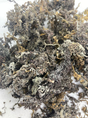 Purple Sea Moss-HandcraftedHealing