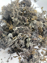 Purple Sea Moss-HandcraftedHealing