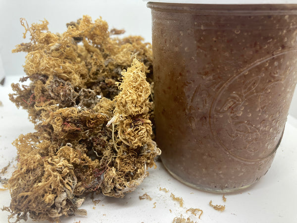 Sea Moss